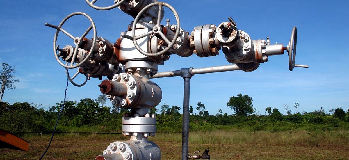 Denisipari de puturi in Bucuresti/Ilfov